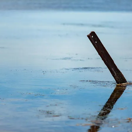 Apartmán A 5 Min Des Thermes, Balcon, Animaux Admis - Fr-1-503-98